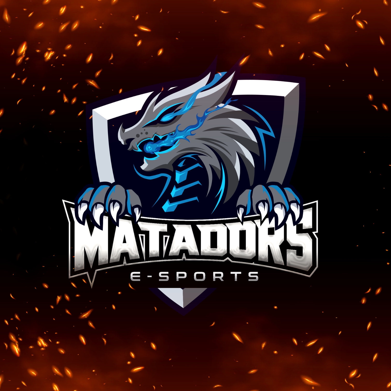 MATADORS E-SPORTS 
